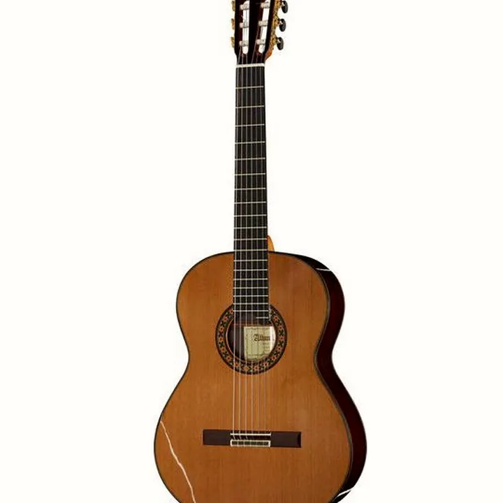 Alhambra 10 Premier w/Case Test & Avis