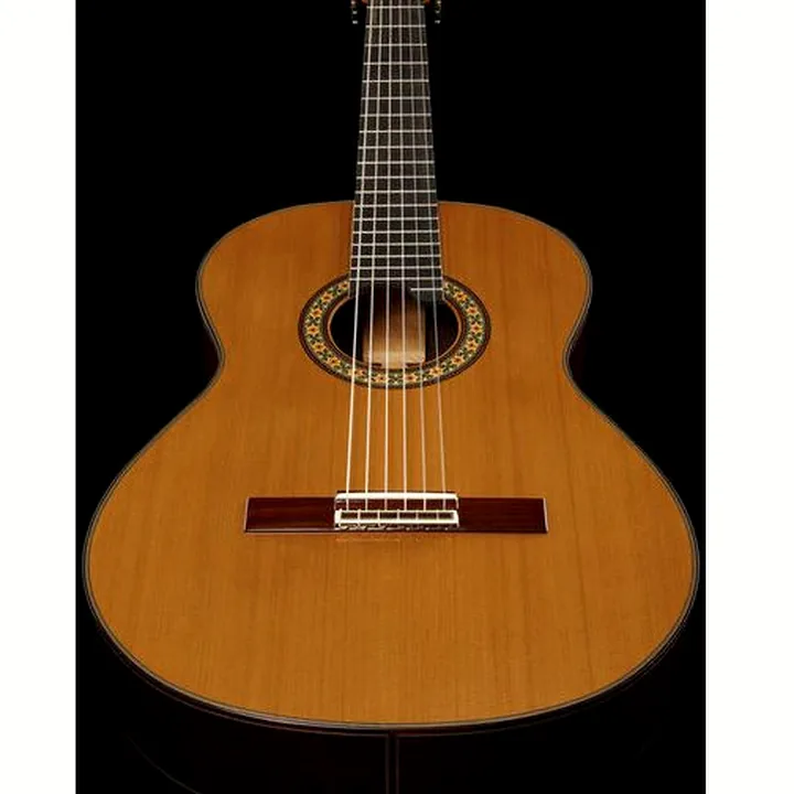 Alhambra 10 Premier w/Case Test & Avis