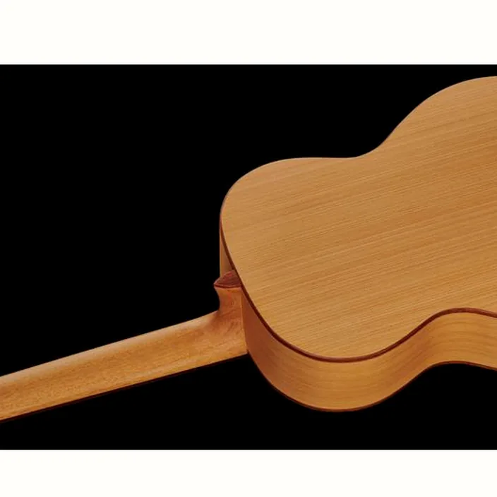 Alhambra 2F Flamenco incl.Gig Bag