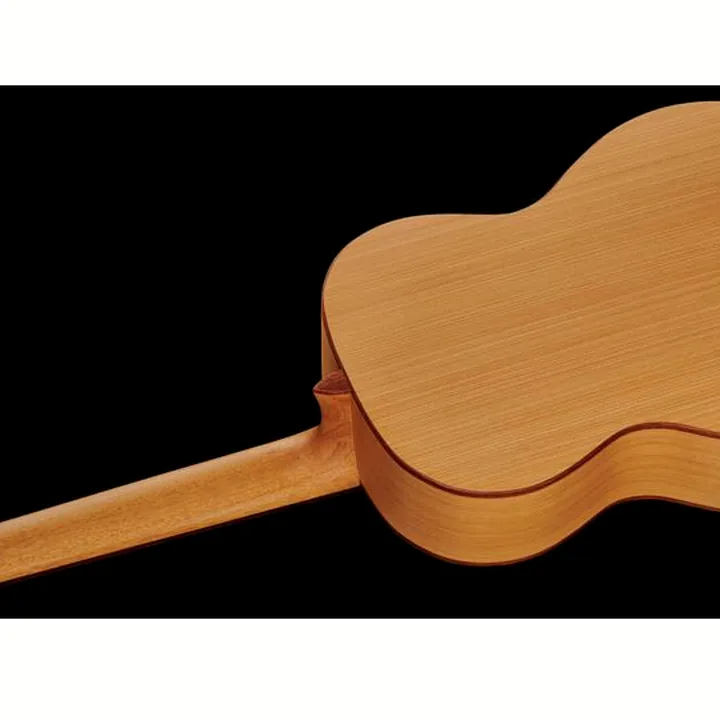 Alhambra 2F Flamenco incl.Gig Bag : Test, Avis, Comparatif