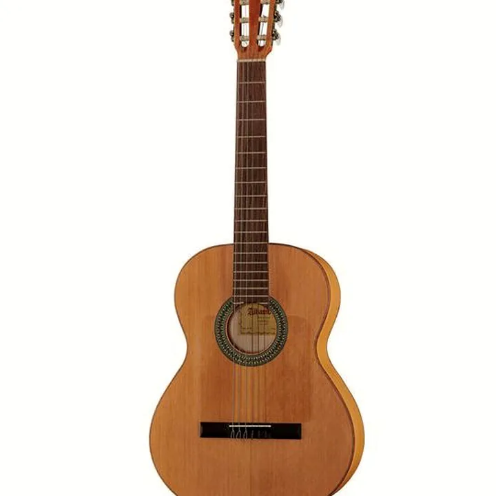 Alhambra 2F Flamenco incl.Gig Bag : Test, Avis, Comparatif