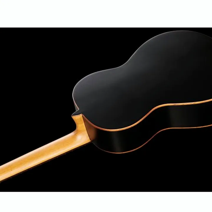 Alhambra Black Satin Plus incl.Gig Bag Test & Avis