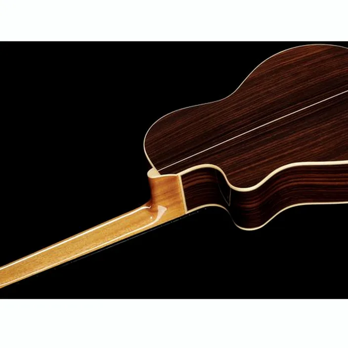 Alhambra CS-3 CW E8 incl.Gig Bag