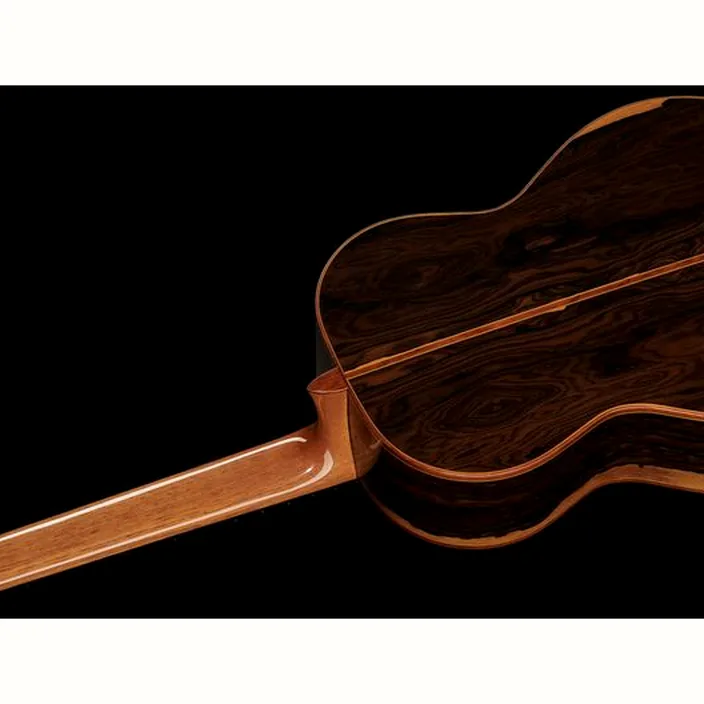 Alhambra Luthier Aniversario