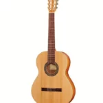 Avis & Test : Alhambra Z Nature incl.Gig Bag