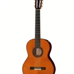 Amalio Burguet Fnegra DV Spruce Flamenco : Test & Avis