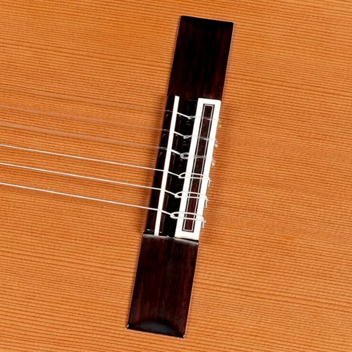 Amalio Burguet Noguera Walnut Cedar - Test, Avis