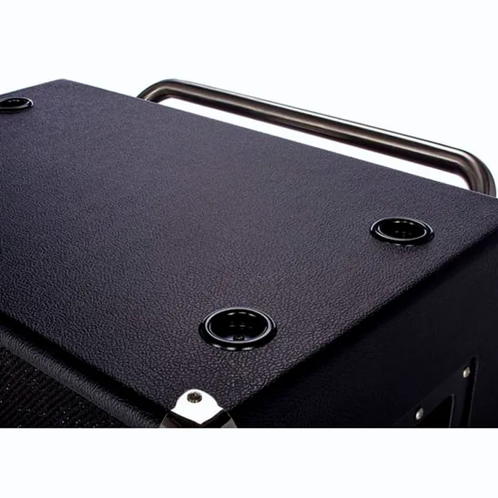 Et Avis : Ampeg Heritage HSVT-410HLF