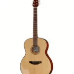 Applause AAO96-4 Orchestra Natural , Comparatif, Test & Avis