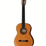 Avis et Test : Asturias Kodaira AST-70