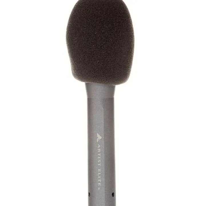 Audio-Technica AE 5100 , Avis, Test et Comparatif