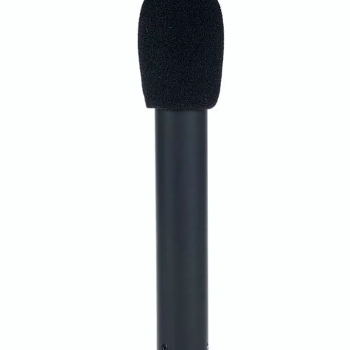 Audio-Technica AT 4021 – Avis, Test, Comparatif