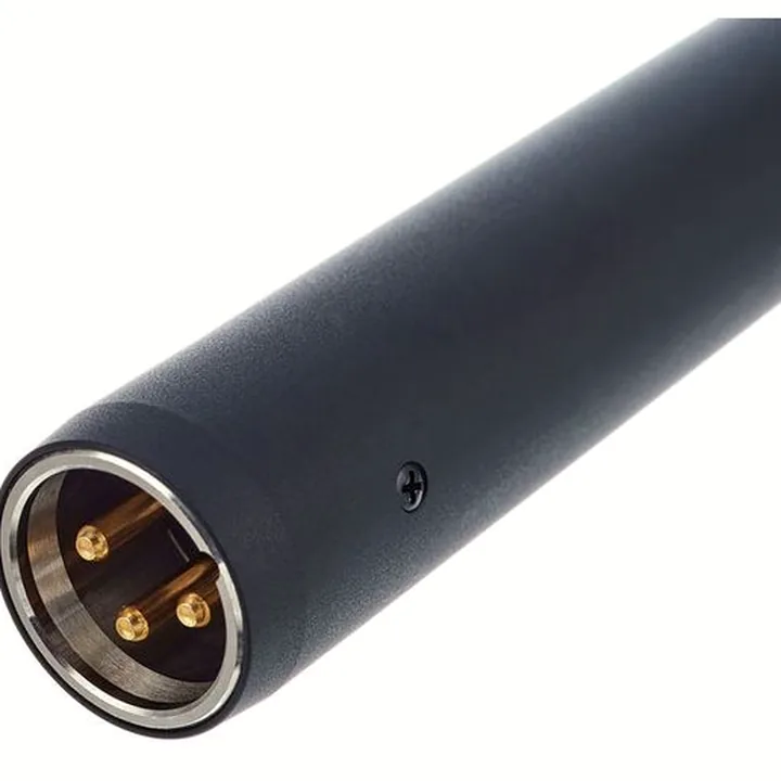 Audio-Technica AT 4021 – Avis, Test, Comparatif
