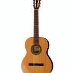 Avis et Test : Alhambra 2C incl. Gig Bag