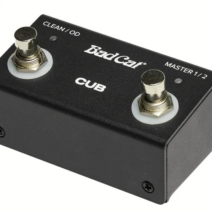 Avis et Test : Bad Cat Cub 1×12 Combo