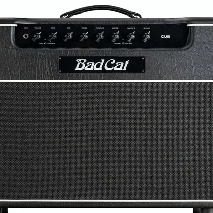 Bad Cat Cub 1x12 Combo
