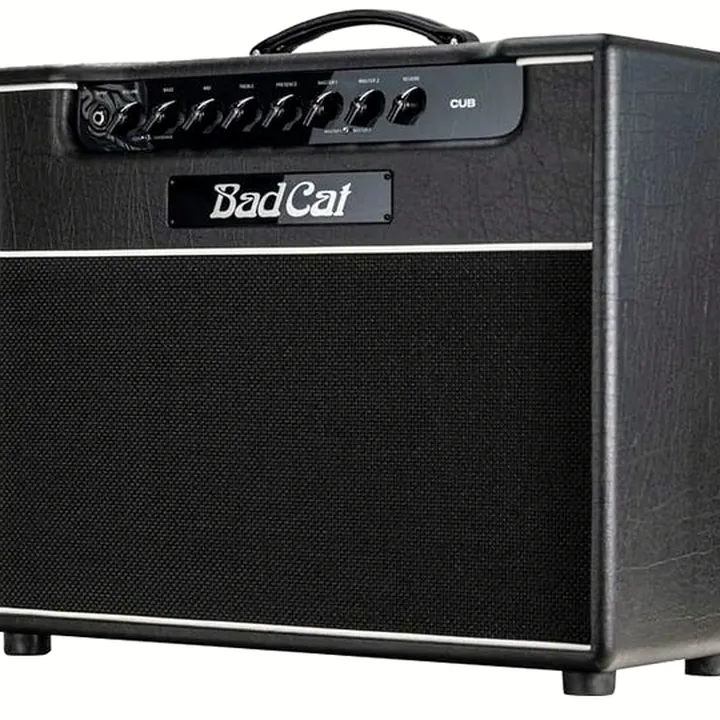 Avis et Test : Bad Cat Cub 1×12 Combo