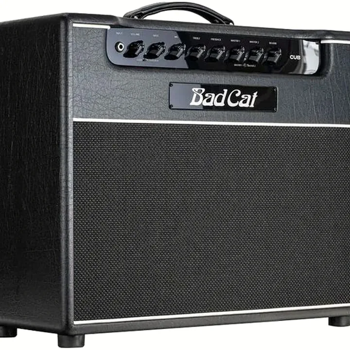 Avis et Test : Bad Cat Cub 1×12 Combo