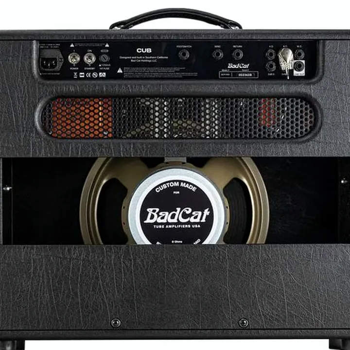 Avis et Test : Bad Cat Cub 1×12 Combo