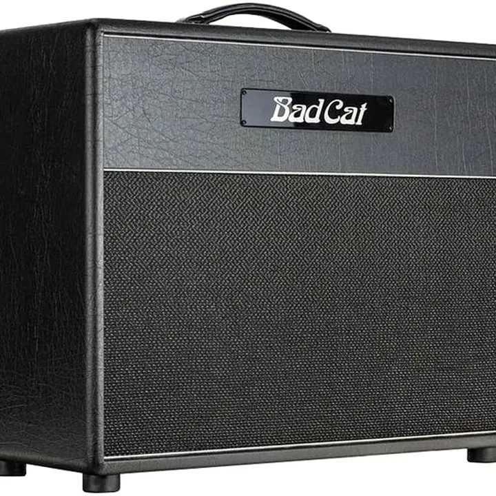 Avis et Test : Bad Cat Hot Cat 1×12 Cab
