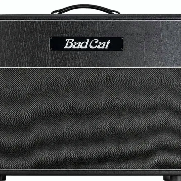Avis et Test : Bad Cat Hot Cat 1×12 Cab