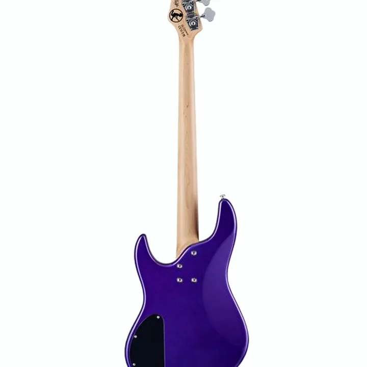 Avis et Test Basse électrique Spector NC-4 Frank Bello