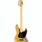 Avis et Test Basse FGN Neo Classic JB-100 VNT