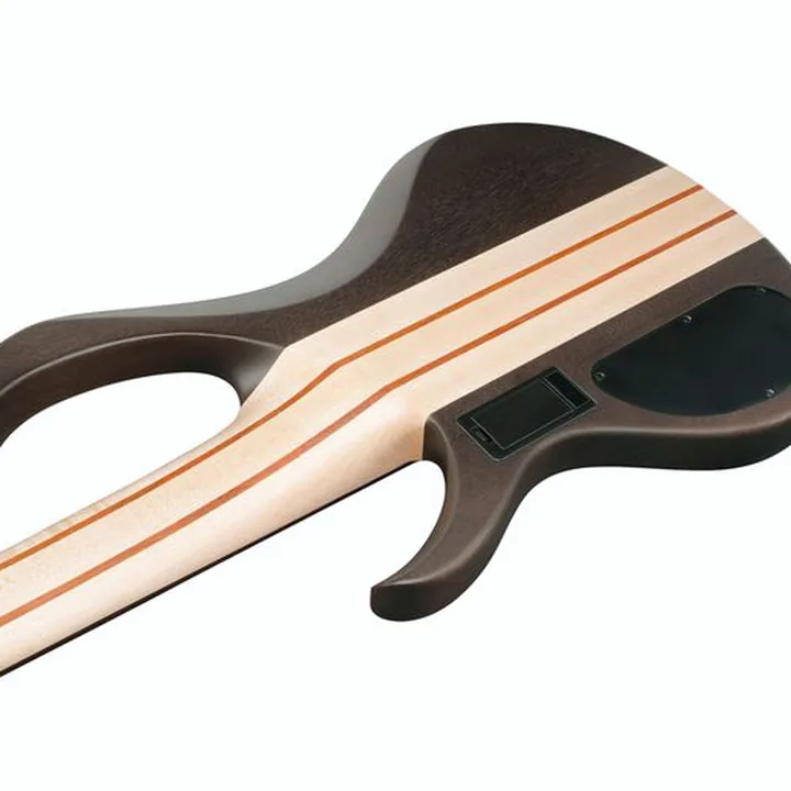 Avis et Test Basse Ibanez BTB606-TGF