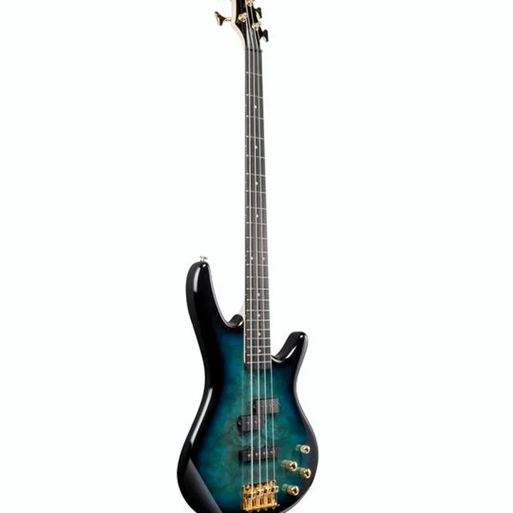 Avis et Test Basse Ibanez GSR200-TMU