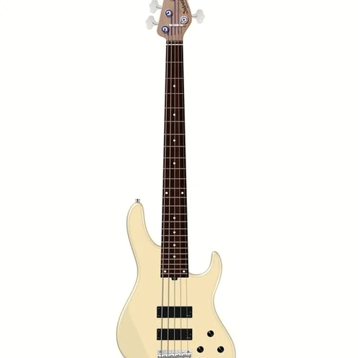 Avis et Test Basse Sadowsky MetroExp24 Mod 5 Morado OWH