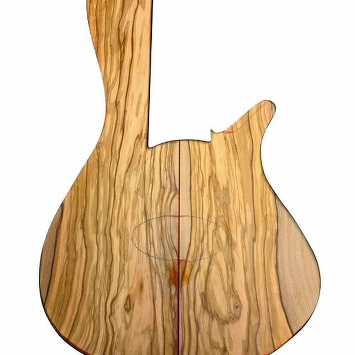 Avis et Test de la basse électrique Franz Bassguitars Sirius DC 5 Olive
