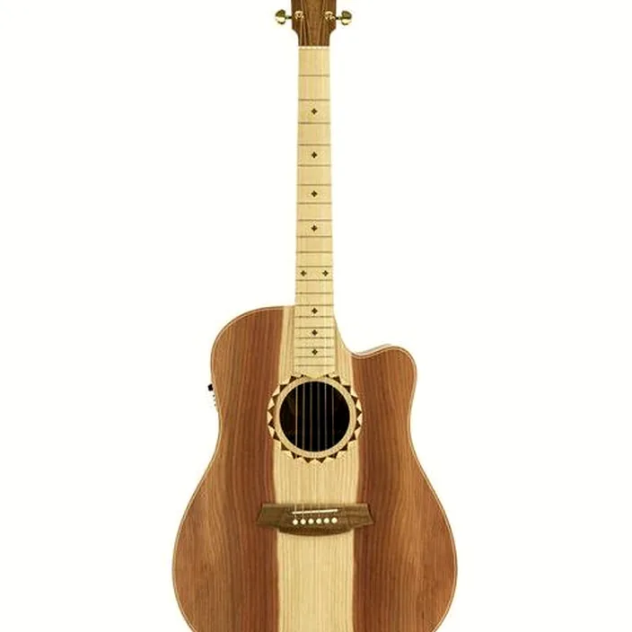 Guitare Cole Clark FL2EC-RDBL-SB