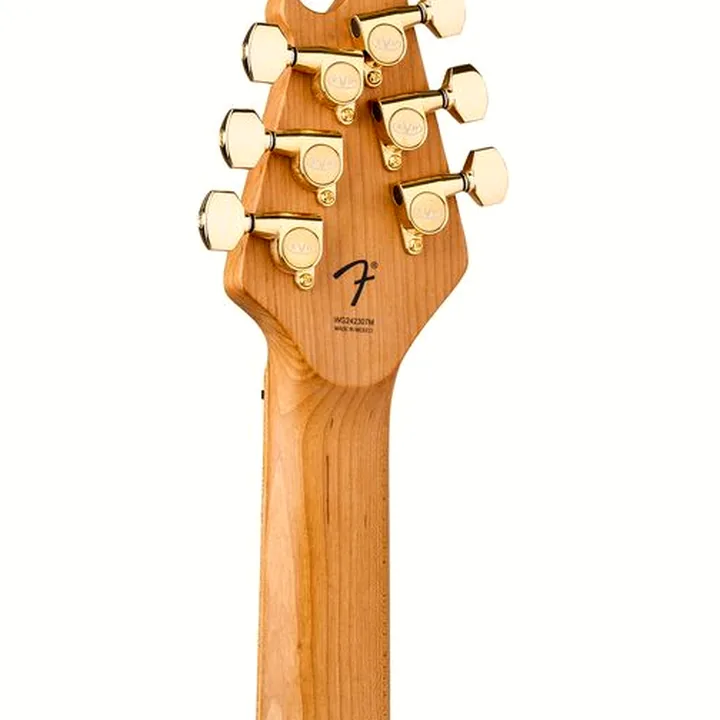 Avis et Test de la guitare électrique Evh Wolfgang Special T.O.M OXB