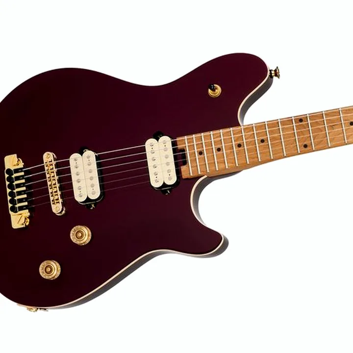 Avis et Test de la guitare électrique Evh Wolfgang Special T.O.M OXB