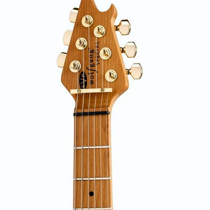 Avis et Test de la guitare électrique Evh Wolfgang Special T.O.M OXB