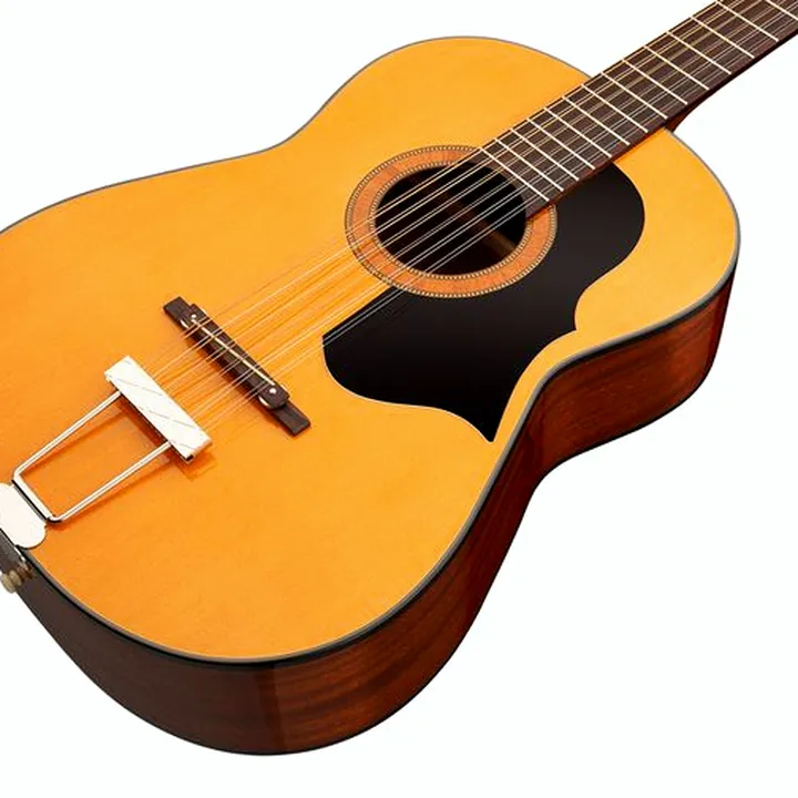 Avis et Test de la guitare Framus Vintage Hootenanny 12 TN