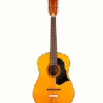 Avis et Test de la guitare Framus Vintage Hootenanny 12 TN