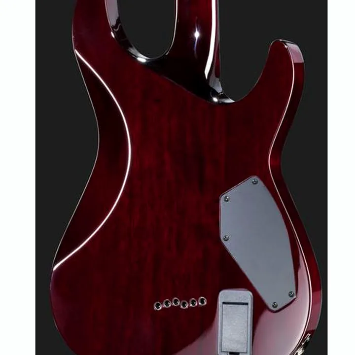 Avis et Test de la guitare Schecter C-1 Hellraiser BC LH
