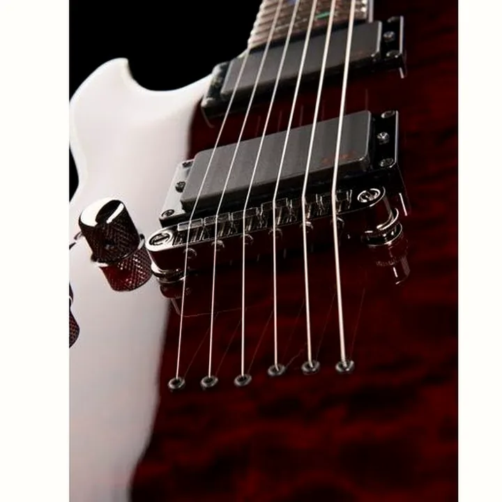 Avis et Test de la guitare Schecter C-1 Hellraiser BC LH
