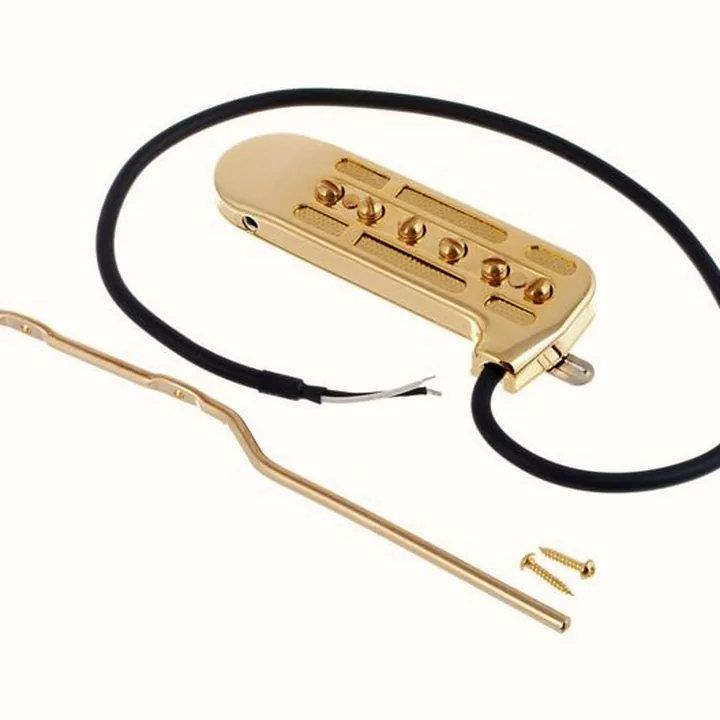 Avis et Test : DeArmond Rhythm Chief 1100