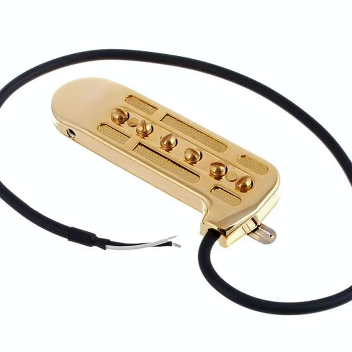 Avis et Test : DeArmond Rhythm Chief 1100