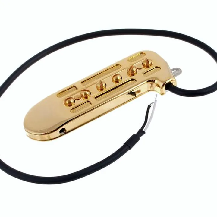 Avis et Test : DeArmond Rhythm Chief 1100