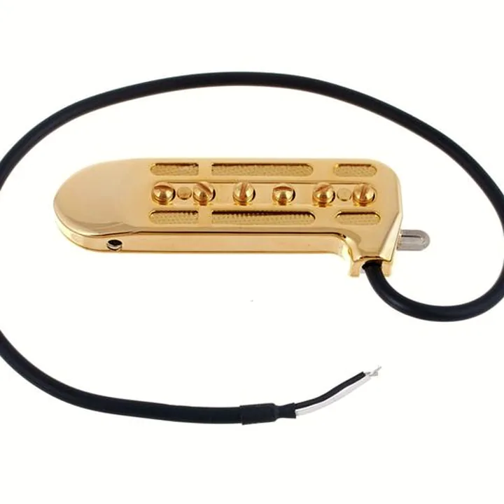 Avis et Test : DeArmond Rhythm Chief 1100