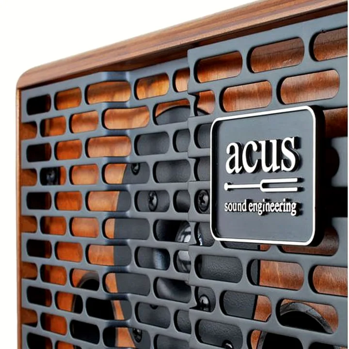 Avis et Test du combo guitare Acus One-for-all Wood