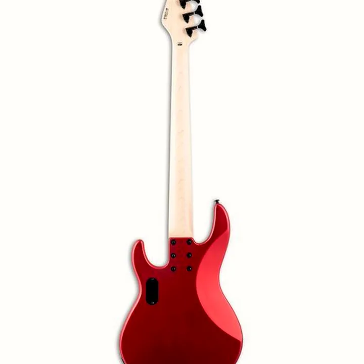 Avis et Test ESP LTD AP-5