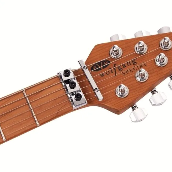 Avis et Test Evh Wolfgang Special QM Charcoal