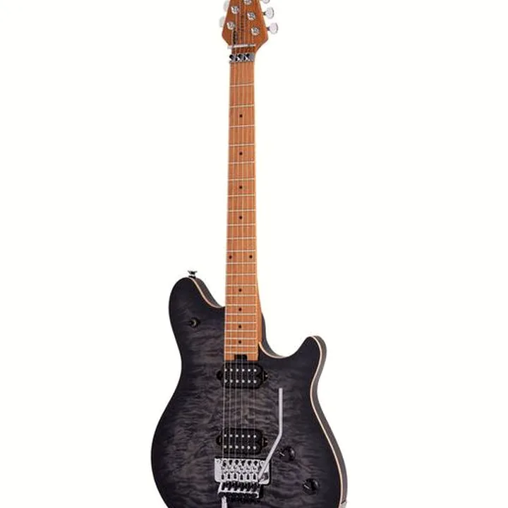 Avis et Test Evh Wolfgang Special QM Charcoal