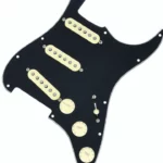 Avis et Test : Fender Pre-Wired ST PG Tex-Mex SSS BK