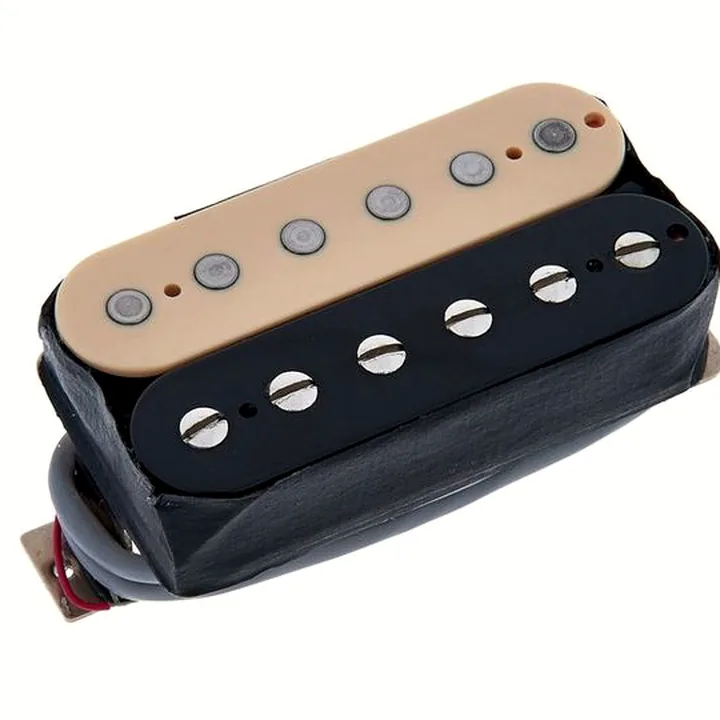 Avis et Test : Gibson 500T Zebra