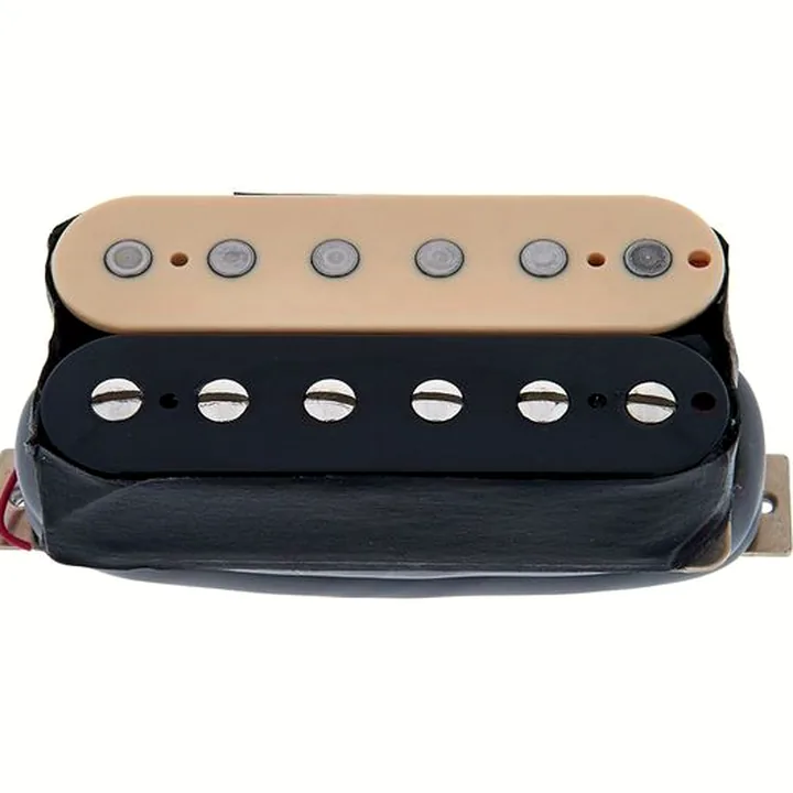 Avis et Test : Gibson 500T Zebra